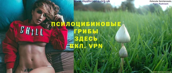 дмт Заволжск