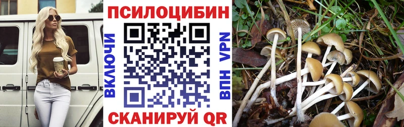 Купить закладки  Пустошка  Псилоцибиновые грибы прущие грибы 